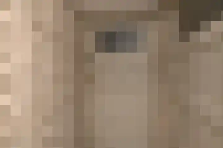 Rembrandtkade 246 Rijswijk thumbnail 36