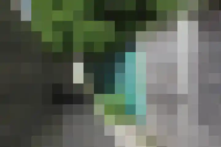 Rembrandtkade 246 Rijswijk thumbnail 39