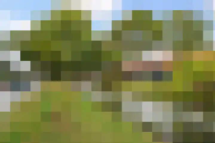 Rembrandtkade 246 Rijswijk thumbnail 4