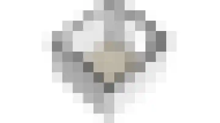 Rembrandtkade 246 Rijswijk thumbnail 46