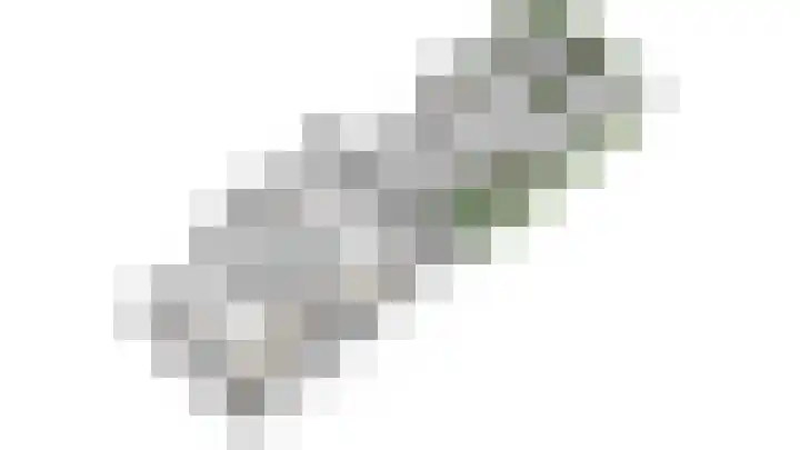 Rembrandtkade 246 Rijswijk thumbnail 48