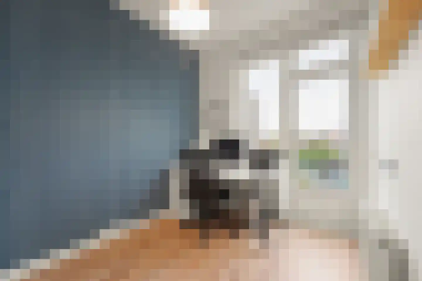 Rembrandtkade 250 Rijswijk thumbnail 24