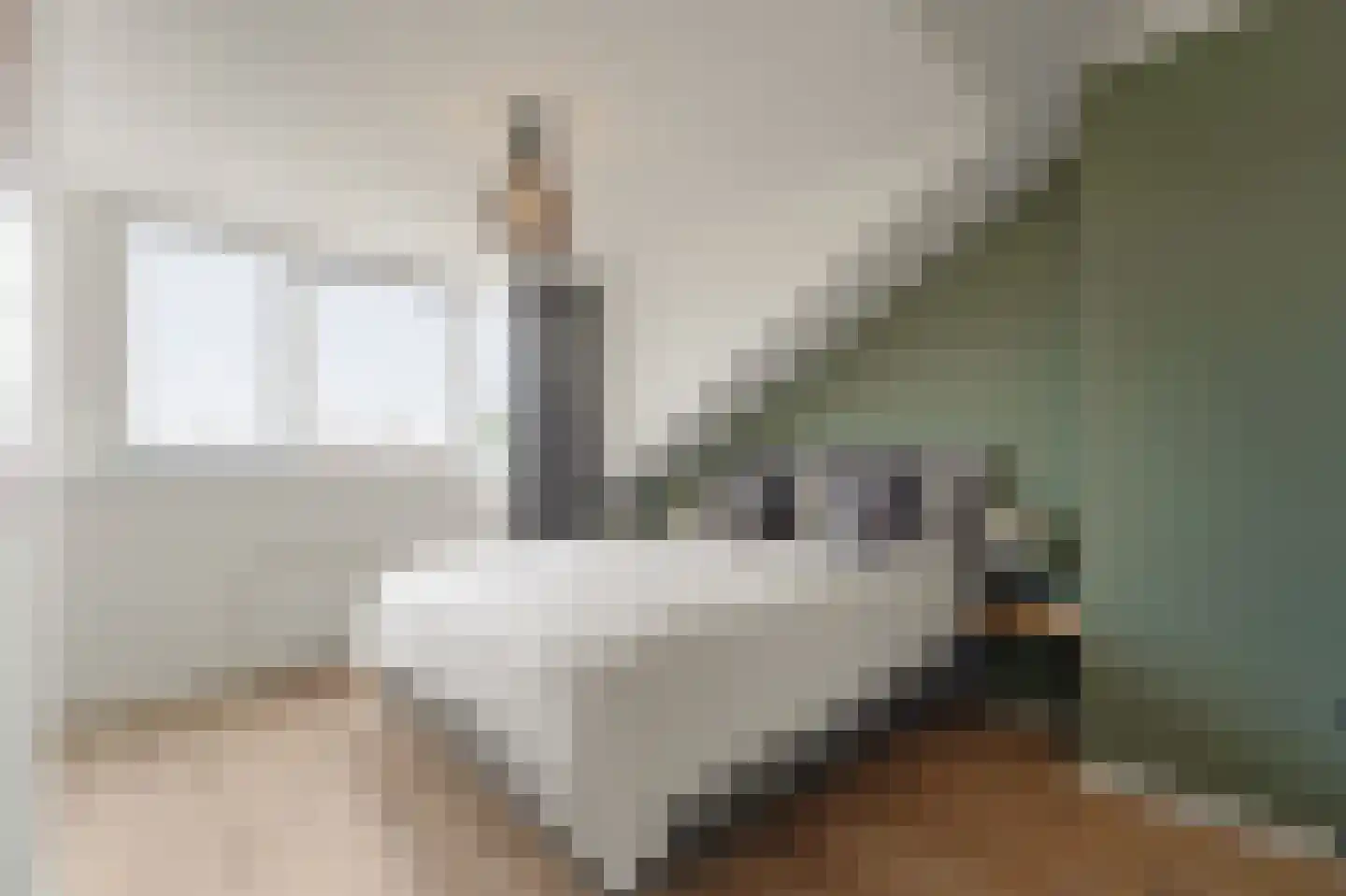 Rembrandtkade 250 Rijswijk thumbnail 38