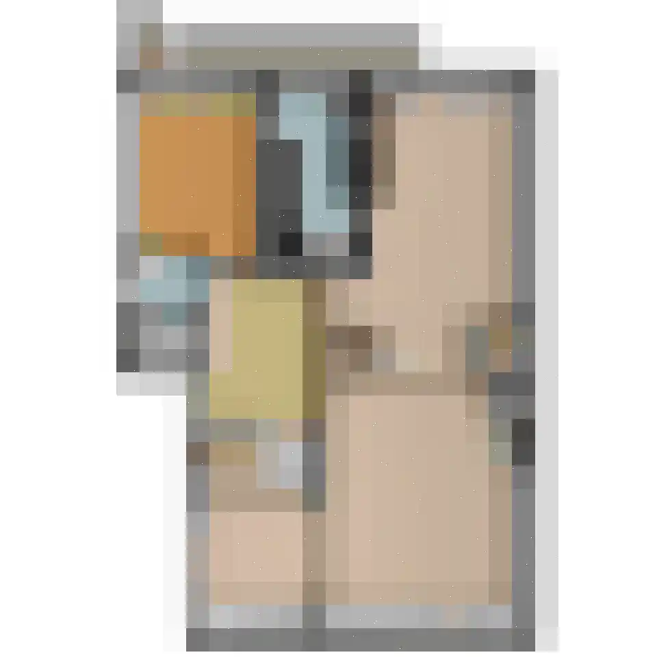 Rembrandtkade 250 Rijswijk thumbnail 46