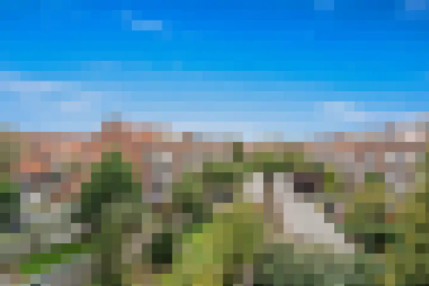 Rembrandtkade 250 Rijswijk thumbnail 5