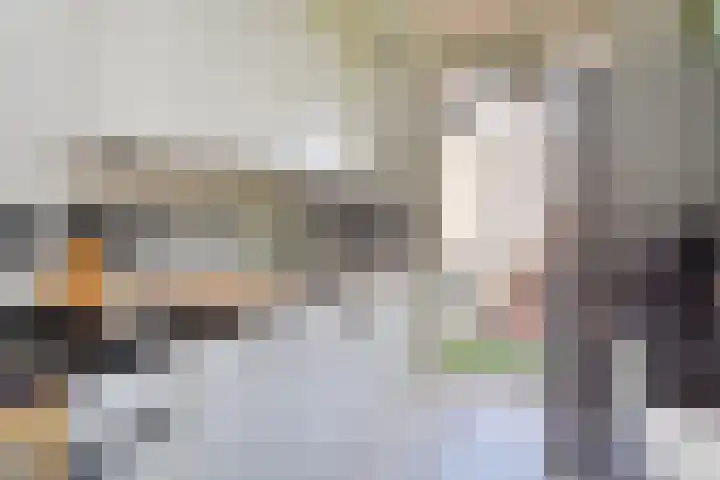 Rembrandtkade 262 Rijswijk thumbnail 15