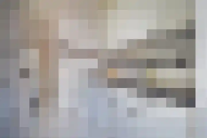 Rembrandtkade 262 Rijswijk thumbnail 17