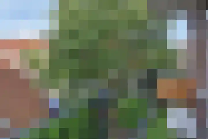 Rembrandtkade 262 Rijswijk thumbnail 18