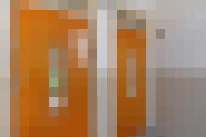 Rembrandtkade 262 Rijswijk thumbnail 31