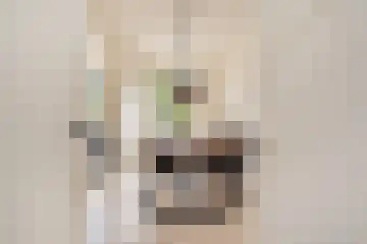 Rembrandtkade 262 Rijswijk thumbnail 9