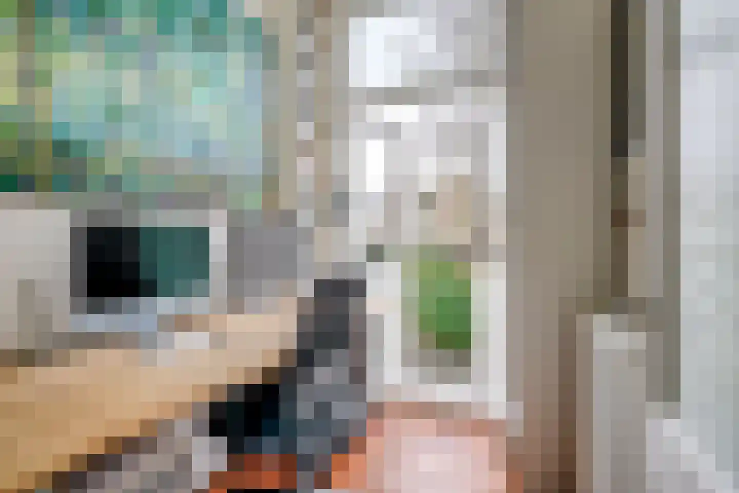 Rembrandtkade 32 Utrecht thumbnail 26