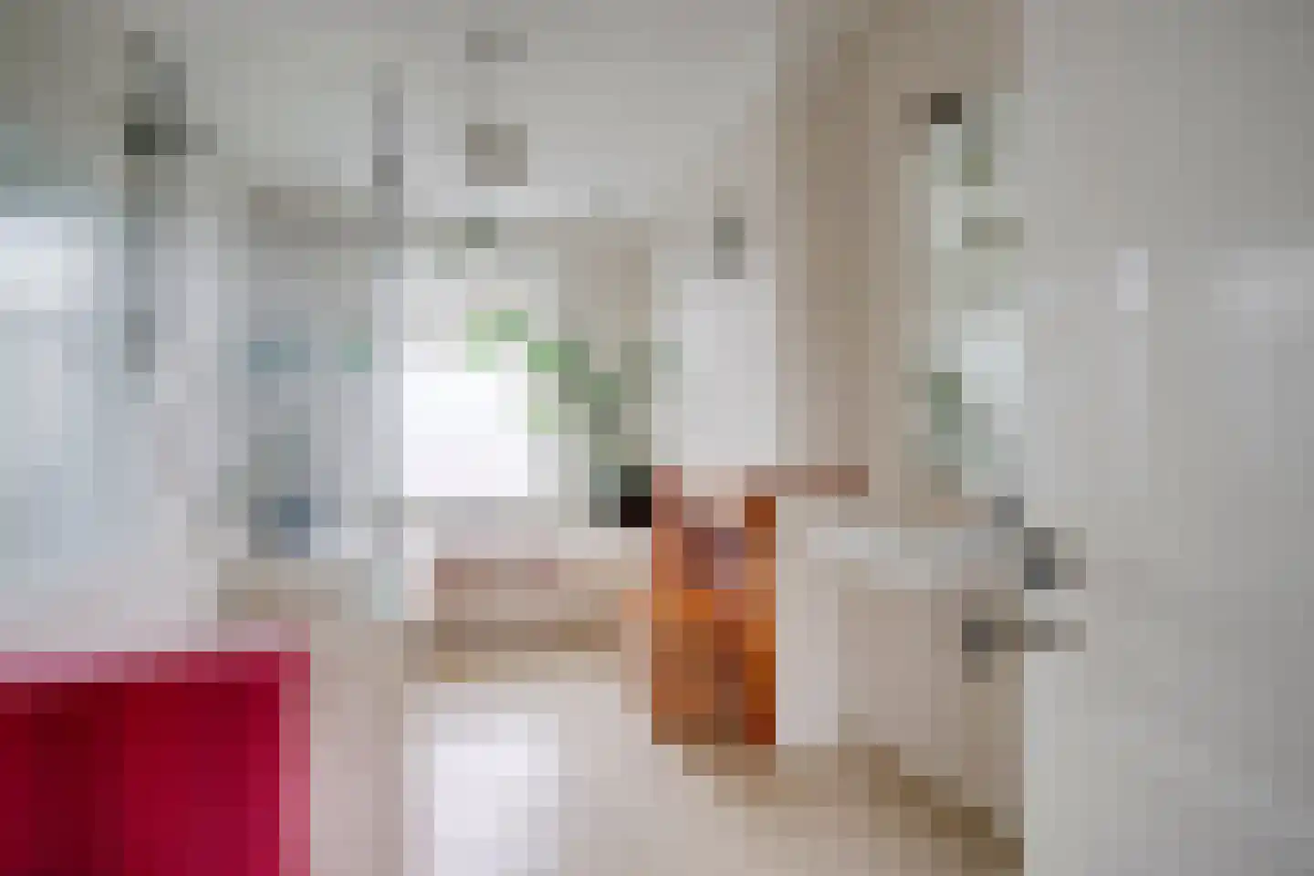 Rembrandtkade 32 Utrecht thumbnail 32