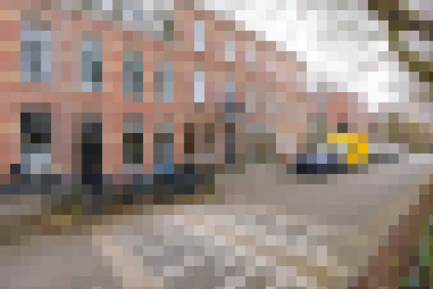 Rembrandtkade 32 Utrecht thumbnail 42