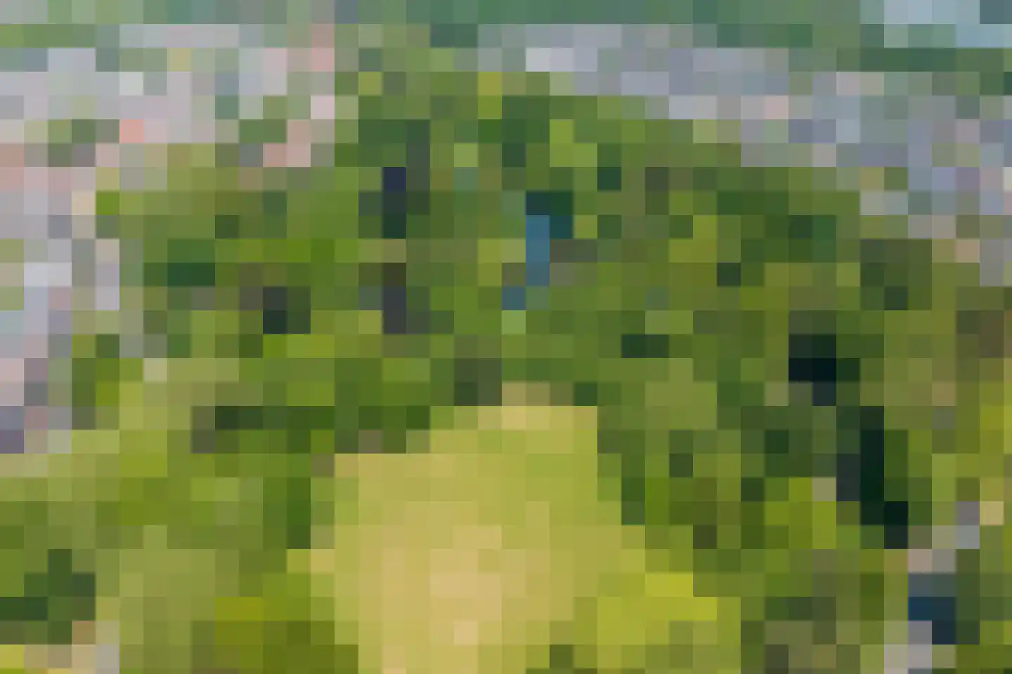 Rembrandtkade 32 Utrecht thumbnail 47