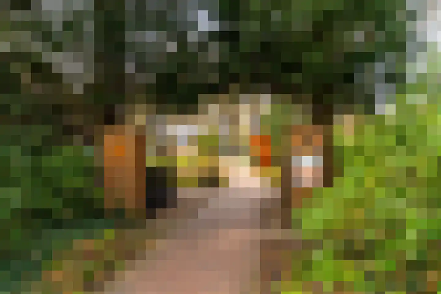 Rembrandtkade 32 Utrecht thumbnail 51