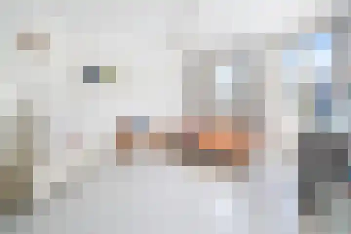 Rembrandtkade 35 Rijswijk thumbnail 21