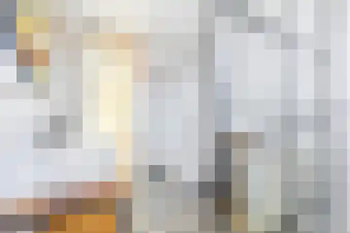 Rembrandtkade 35 Rijswijk thumbnail 28