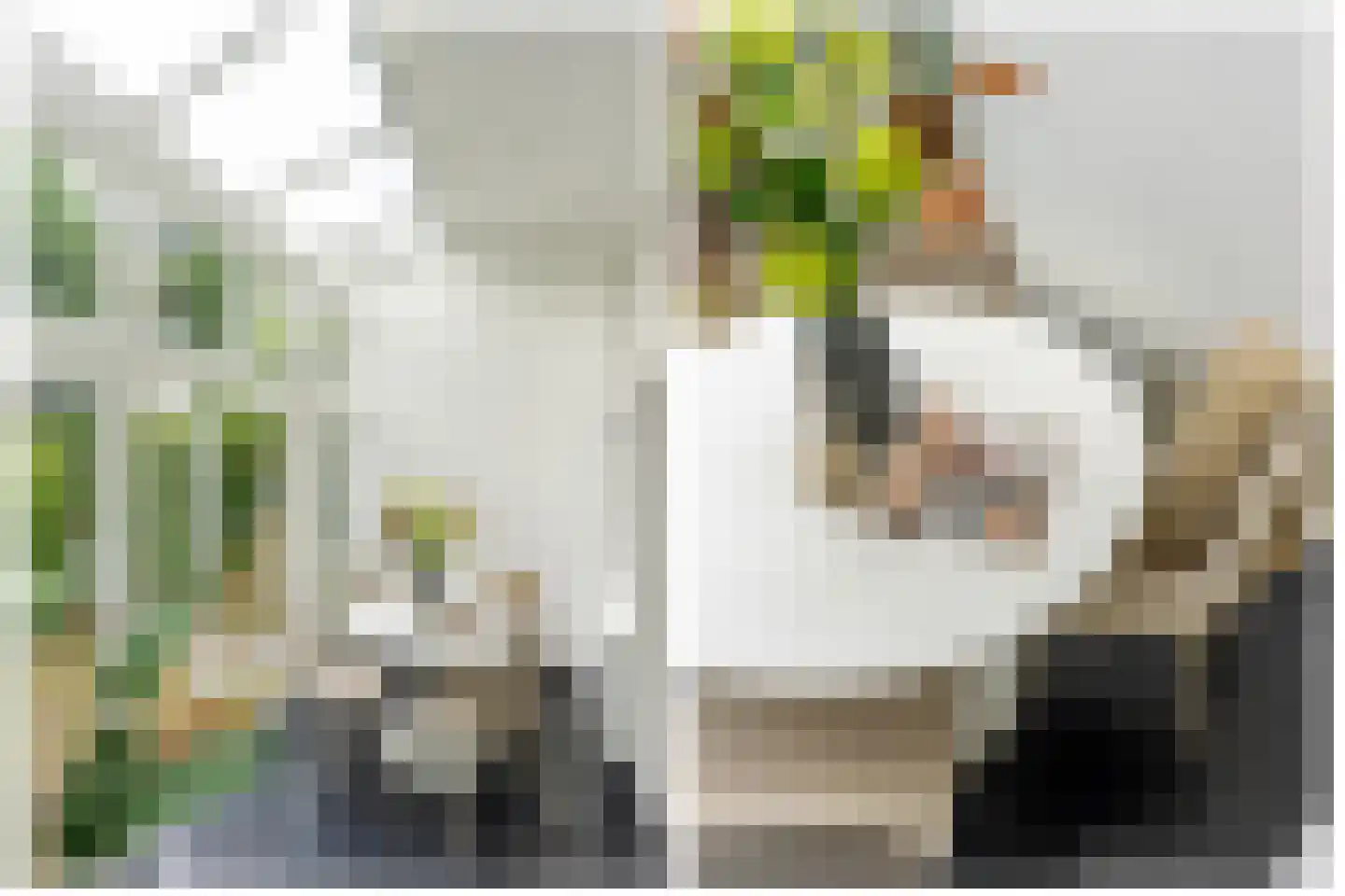 Rembrandtkade 39 Utrecht thumbnail 17