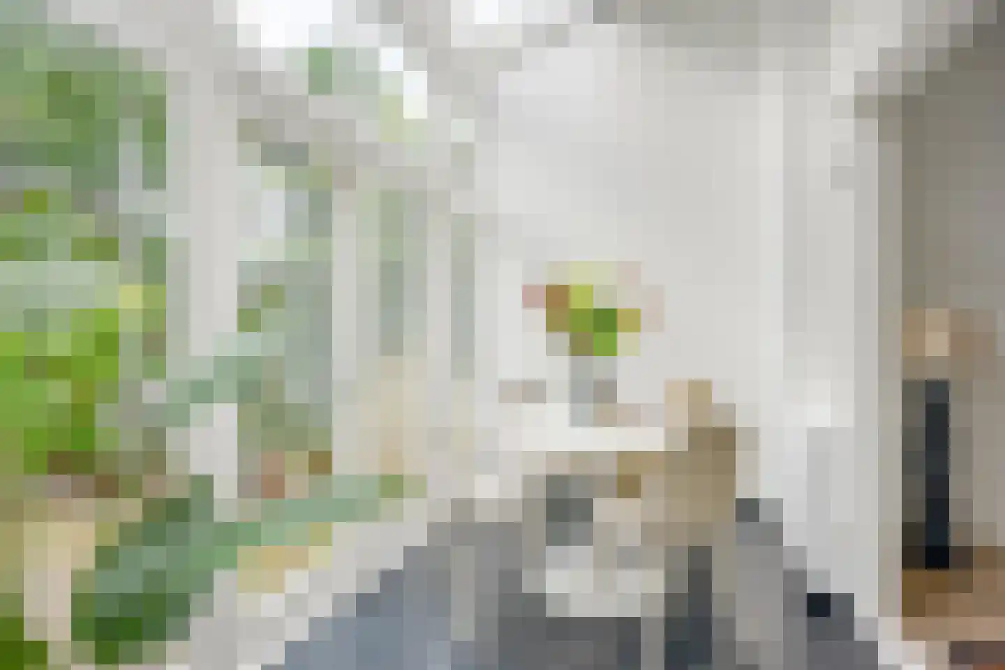 Rembrandtkade 39 Utrecht thumbnail 19