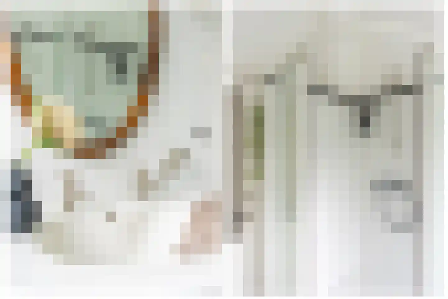 Rembrandtkade 39 Utrecht thumbnail 39