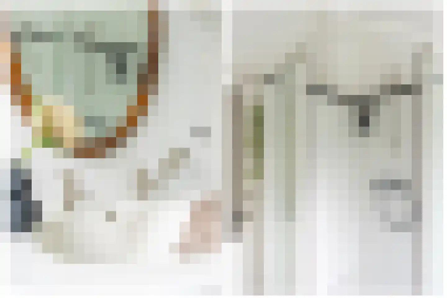 Rembrandtkade 39 Utrecht thumbnail 39