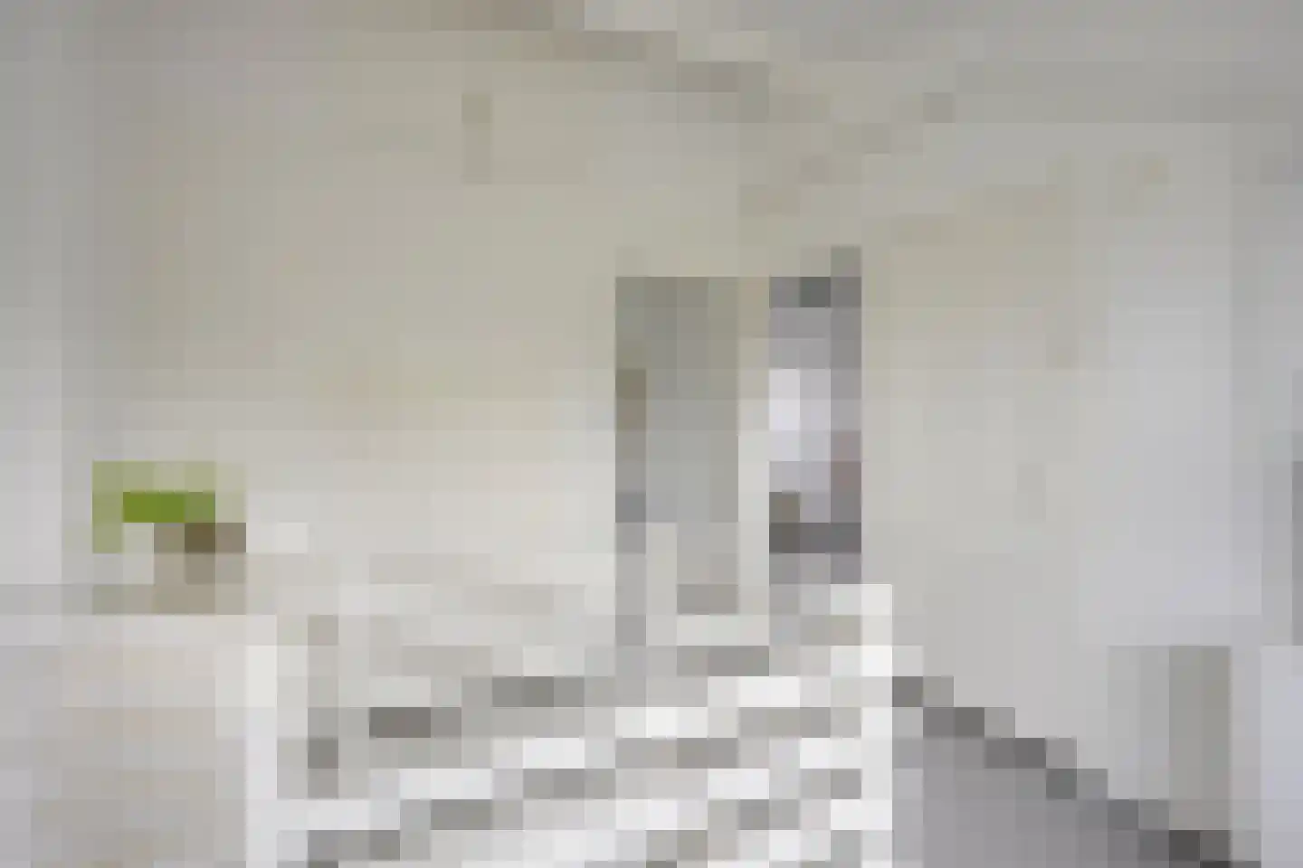Rembrandtkade 39 Utrecht thumbnail 41
