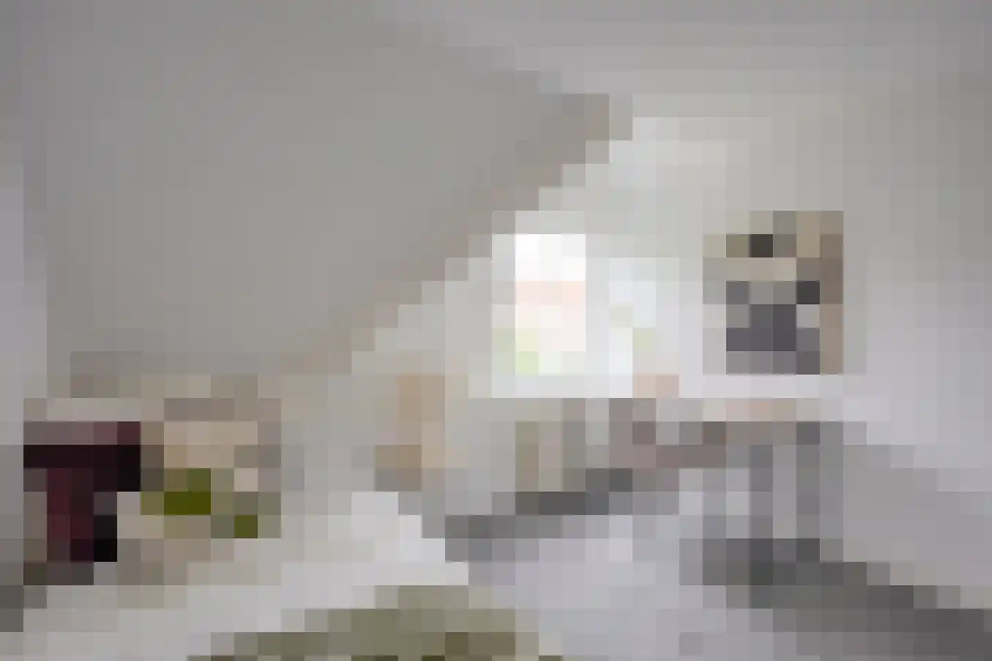 Rembrandtkade 39 Utrecht thumbnail 43