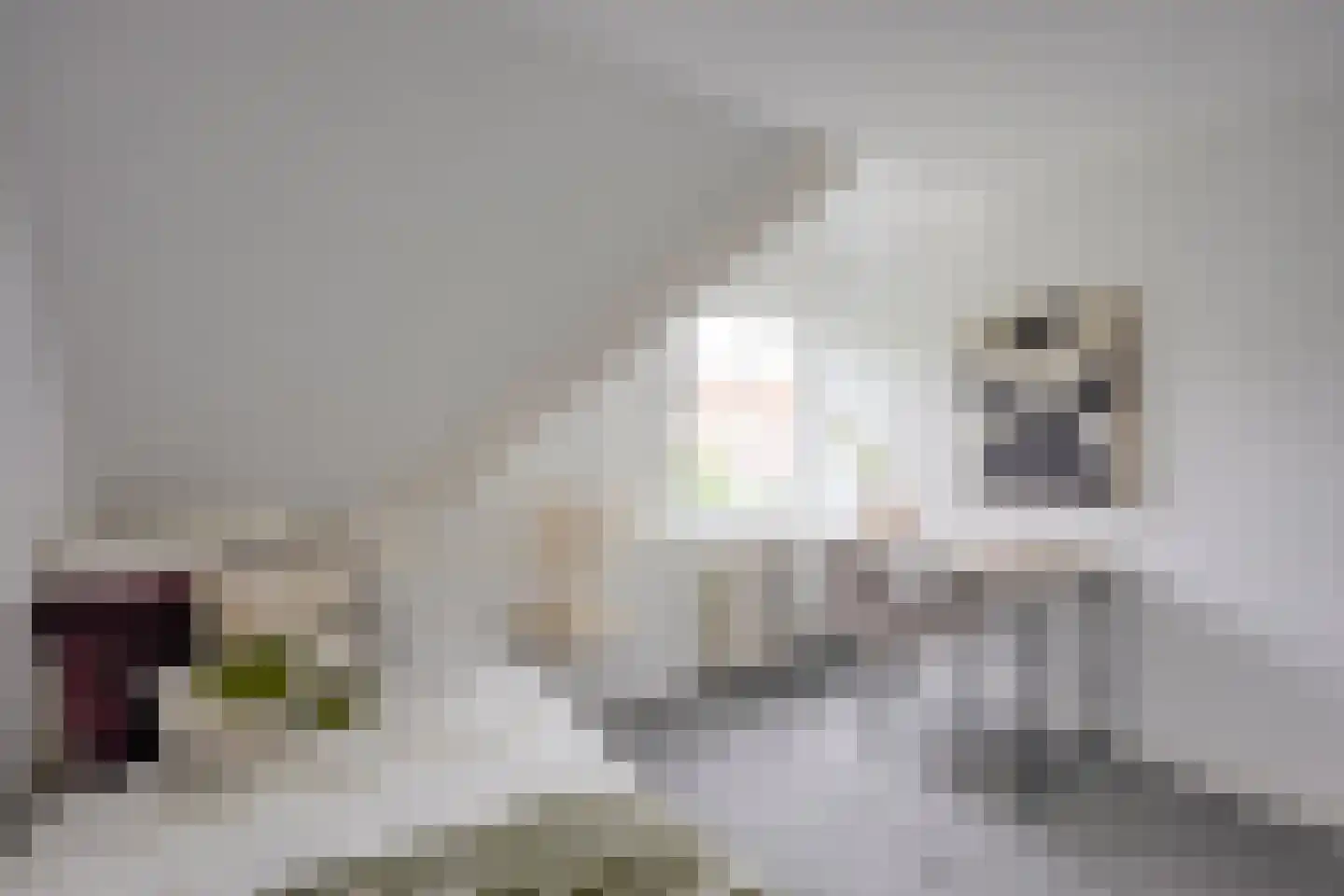 Rembrandtkade 39 Utrecht thumbnail 43