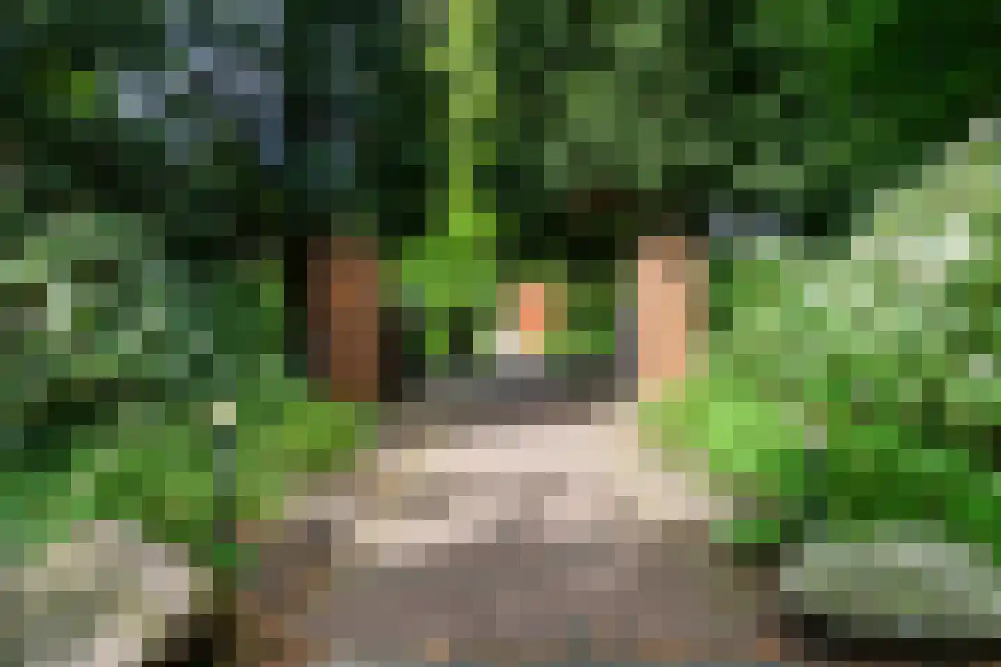 Rembrandtkade 39 Utrecht thumbnail 55