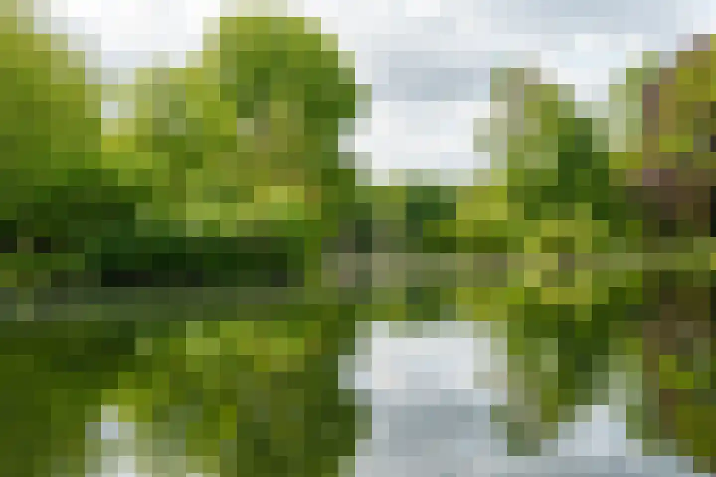 Rembrandtkade 39 Utrecht thumbnail 56