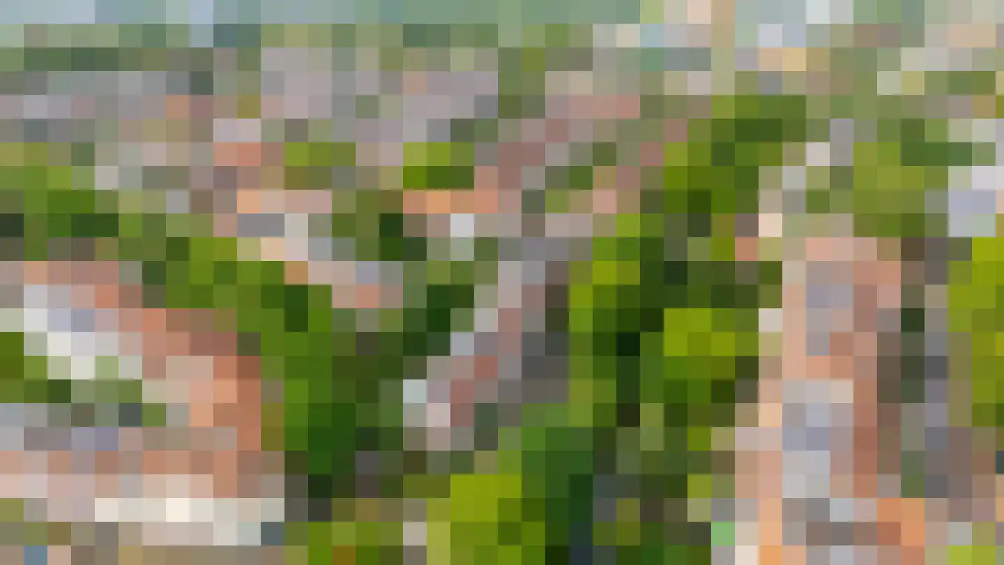 Rembrandtkade 39 Utrecht thumbnail 58