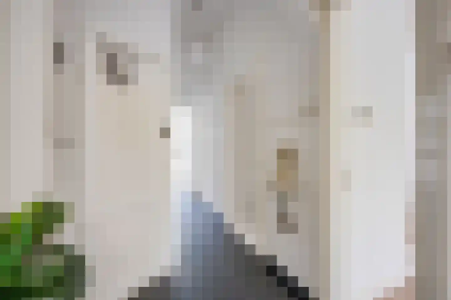 Rembrandtkade 39 Utrecht thumbnail 8
