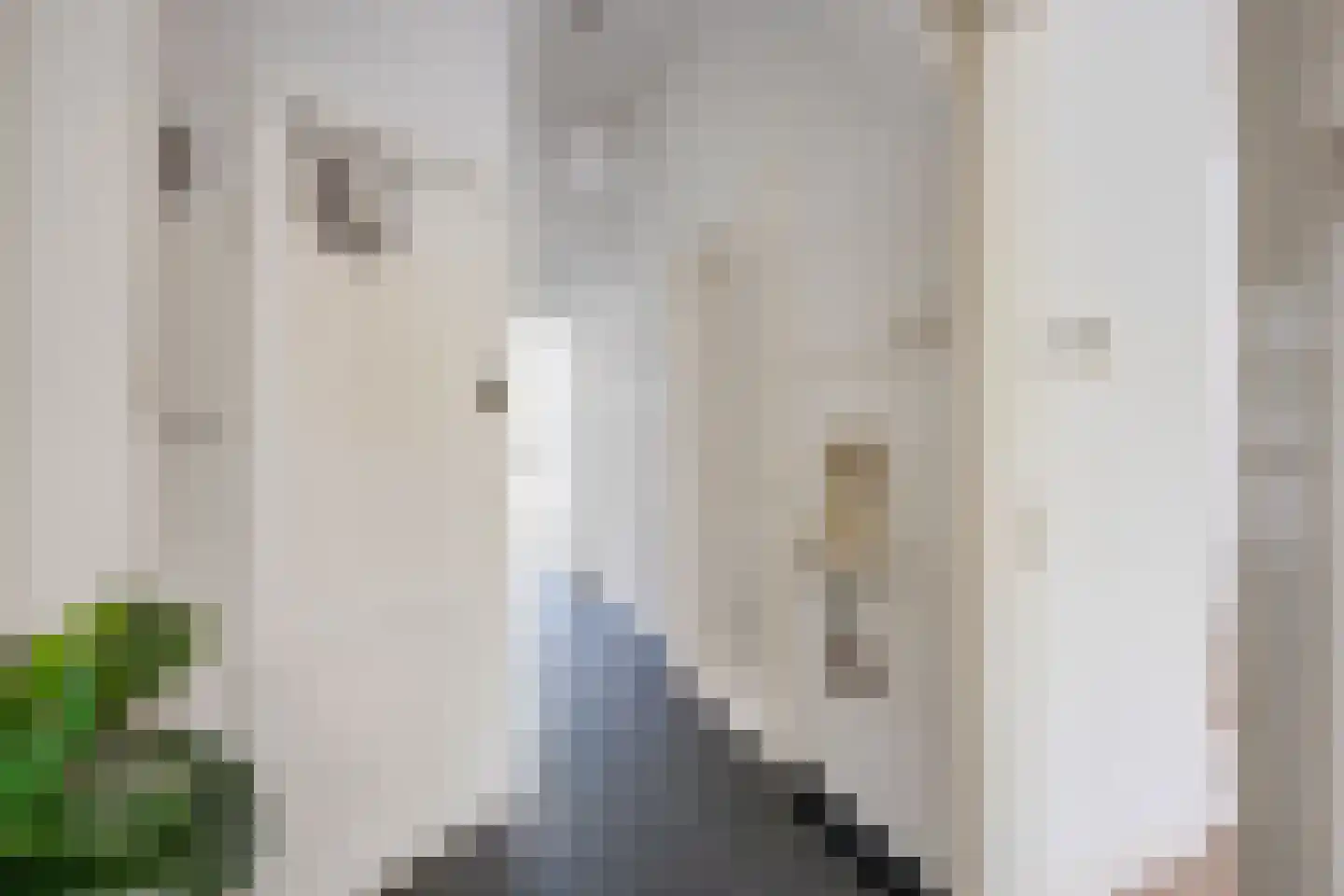 Rembrandtkade 39 Utrecht thumbnail 8