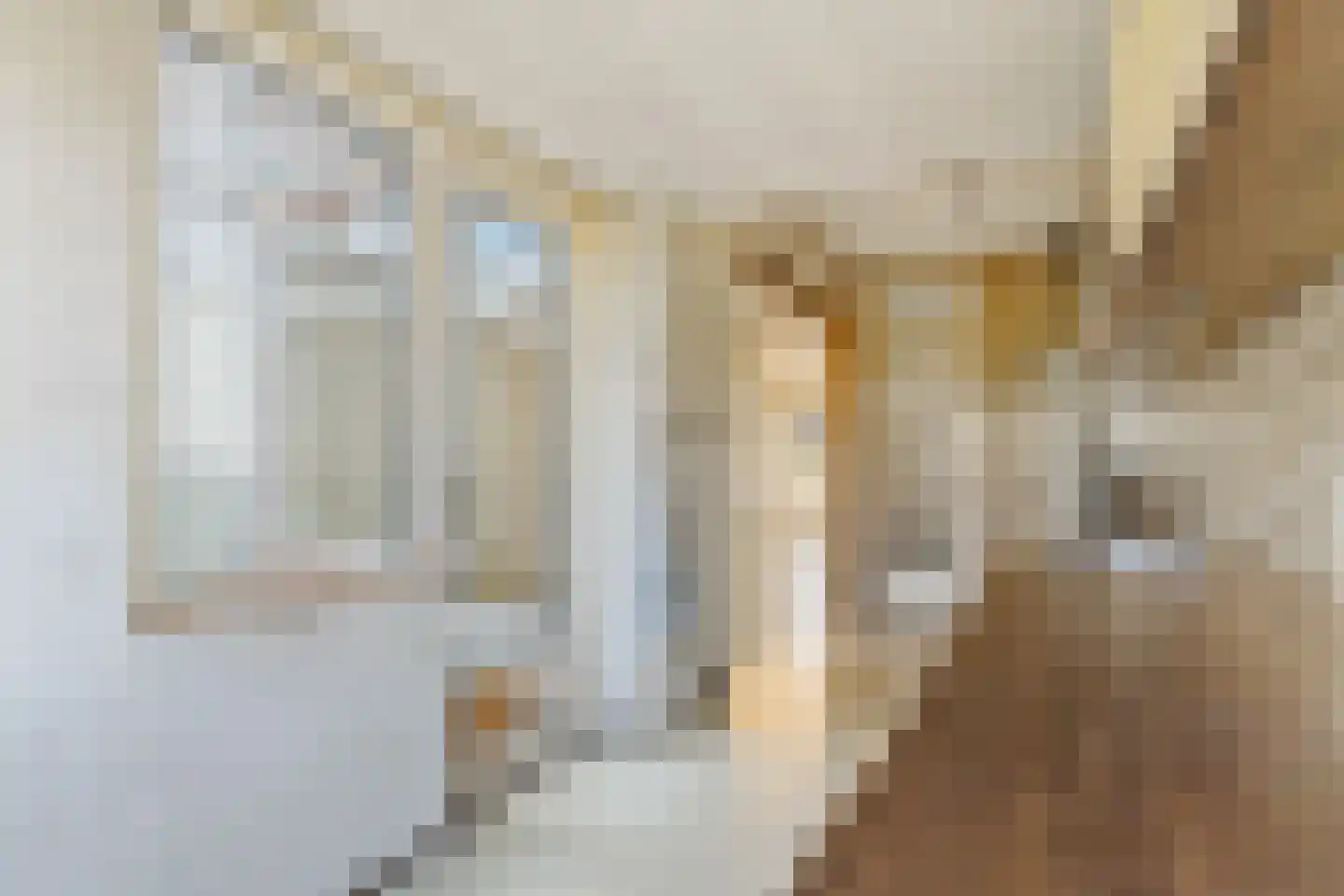 Rembrandtkade 51 Rijswijk thumbnail 12