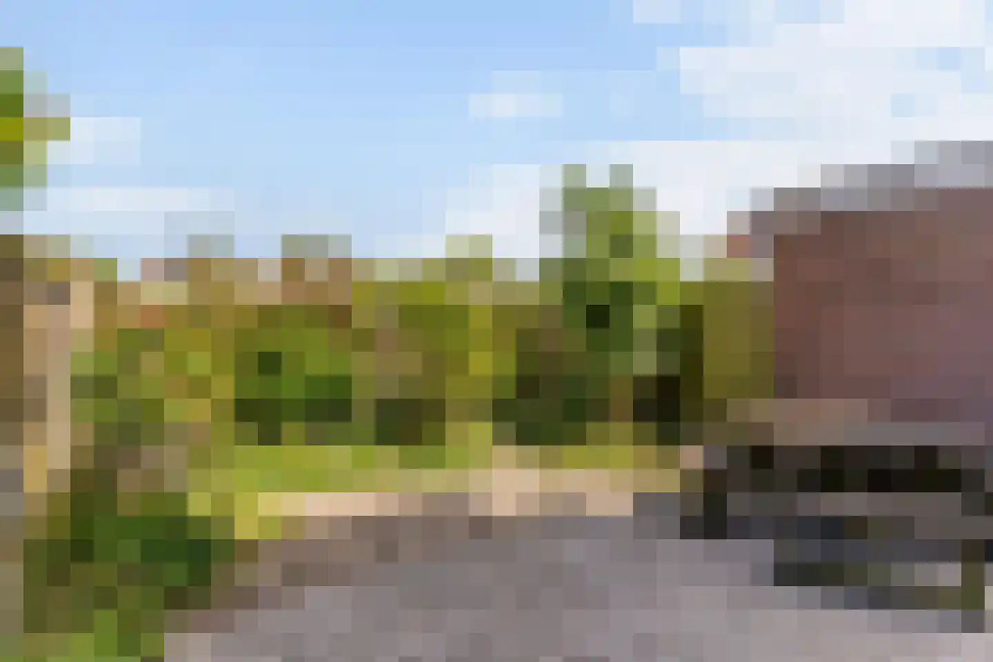 Rembrandtkade 51 Rijswijk thumbnail 13