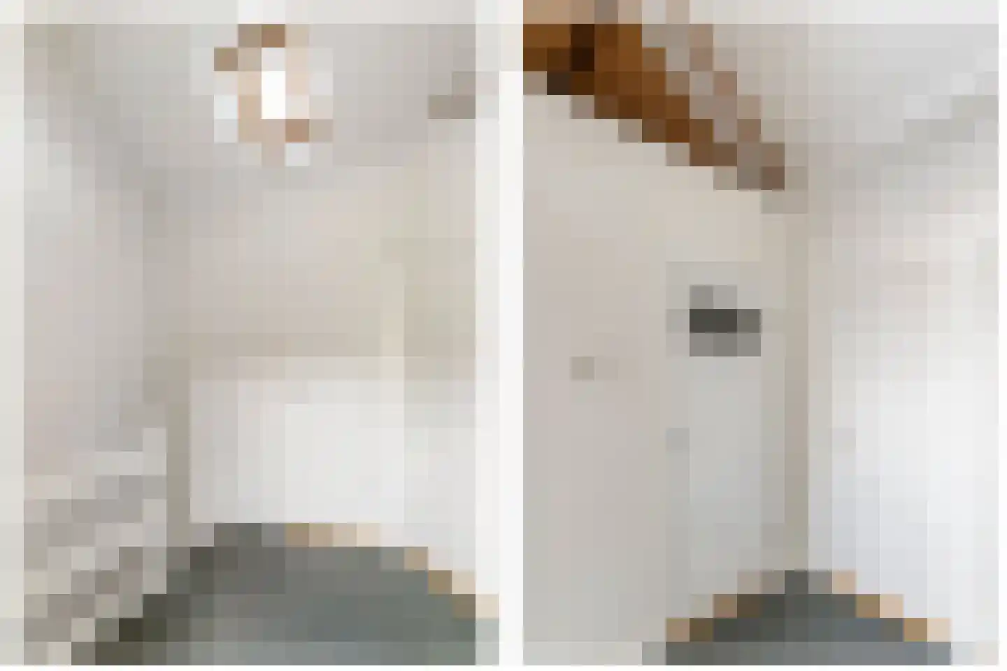 Rembrandtkade 51 Rijswijk thumbnail 30