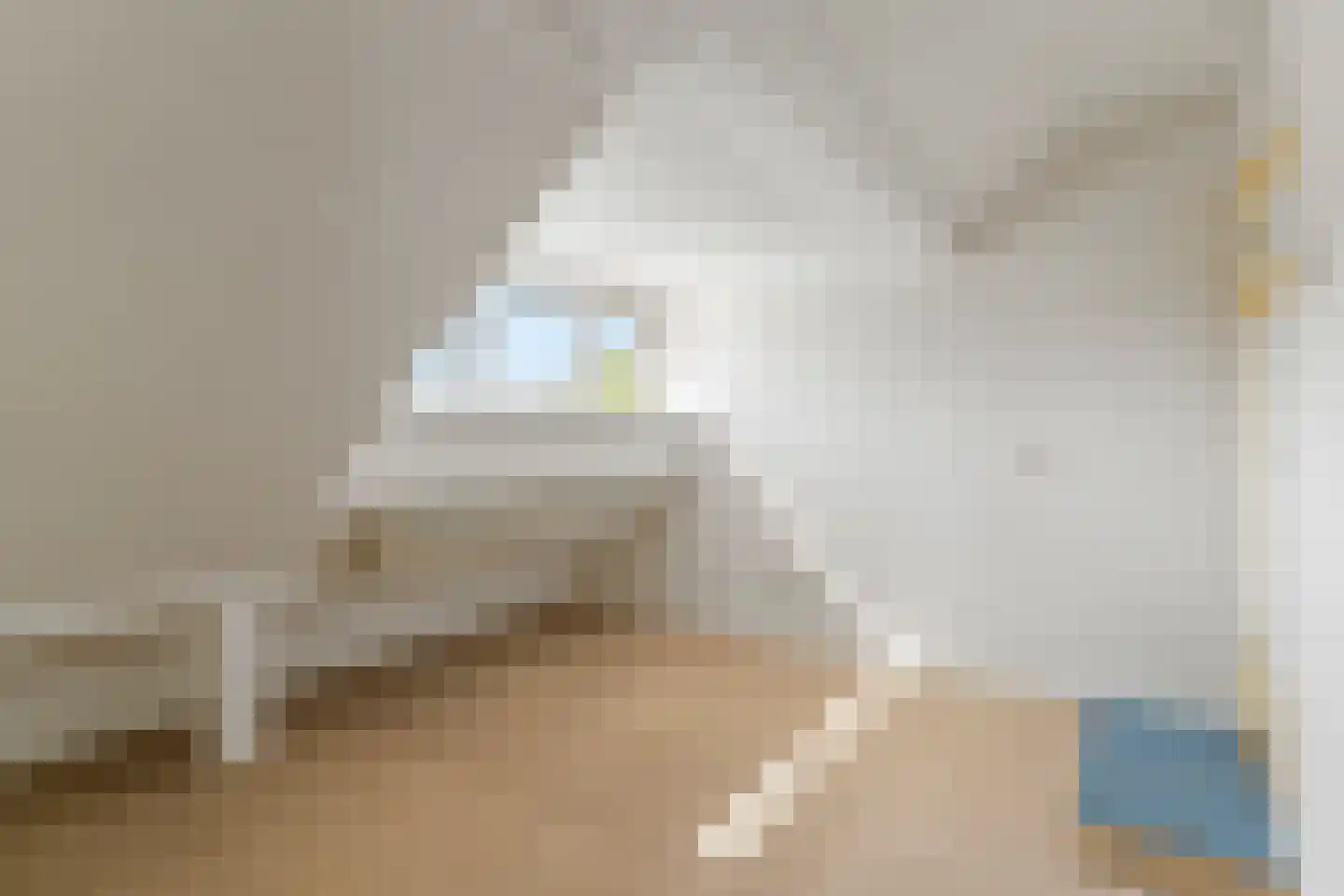 Rembrandtkade 51 Rijswijk thumbnail 32