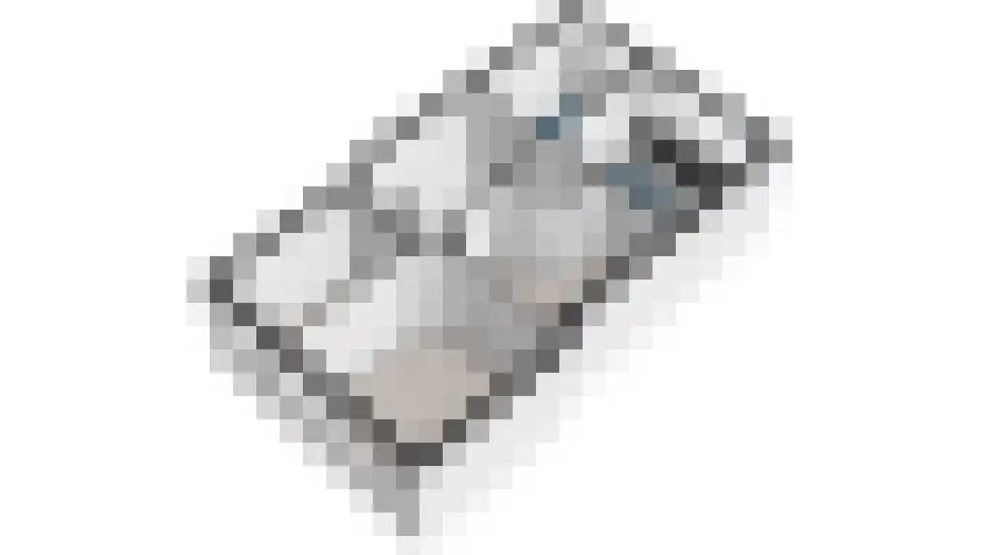 Rembrandtkade 51 Rijswijk thumbnail 46
