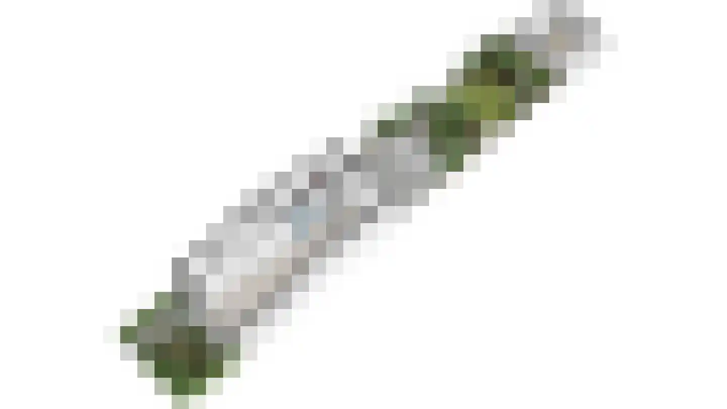 Rembrandtkade 51 Rijswijk thumbnail 49