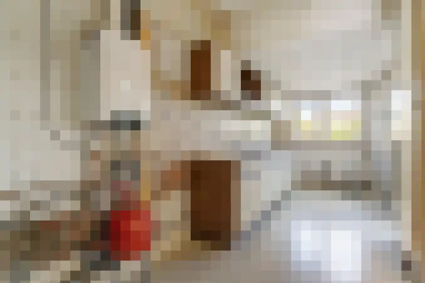 Rembrandtkade 51 Rijswijk thumbnail 9