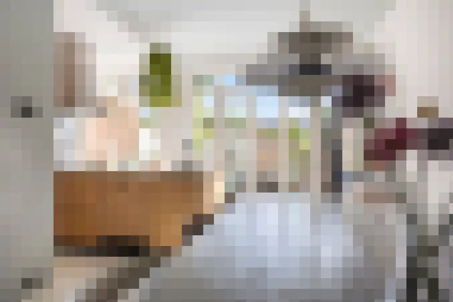 Rembrandtkade 59 Rijswijk thumbnail 12