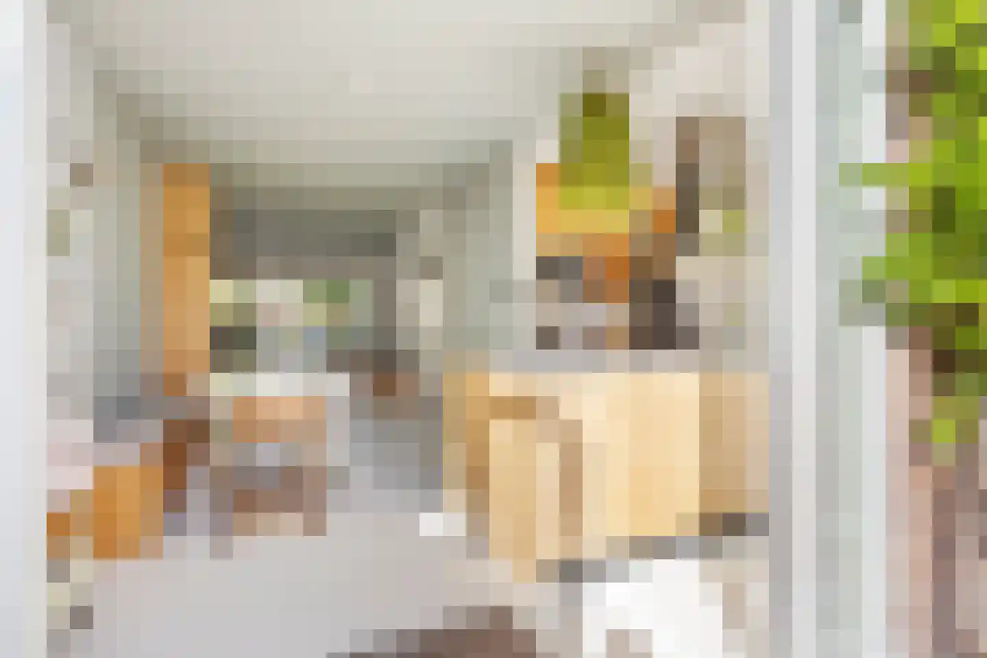Rembrandtkade 59 Rijswijk thumbnail 13