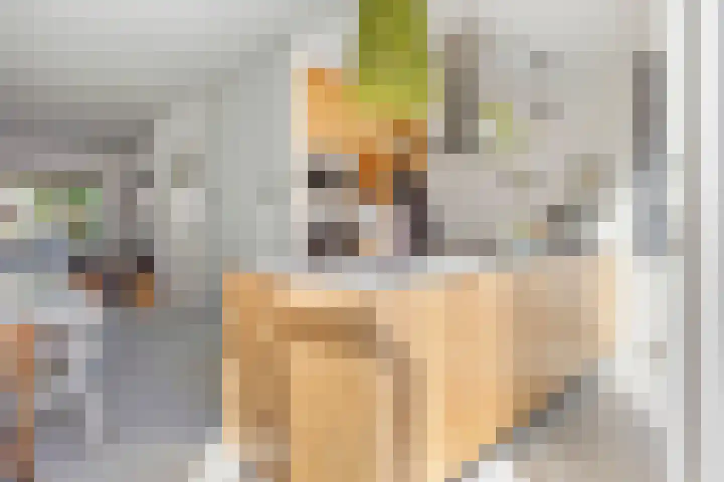 Rembrandtkade 59 Rijswijk thumbnail 14