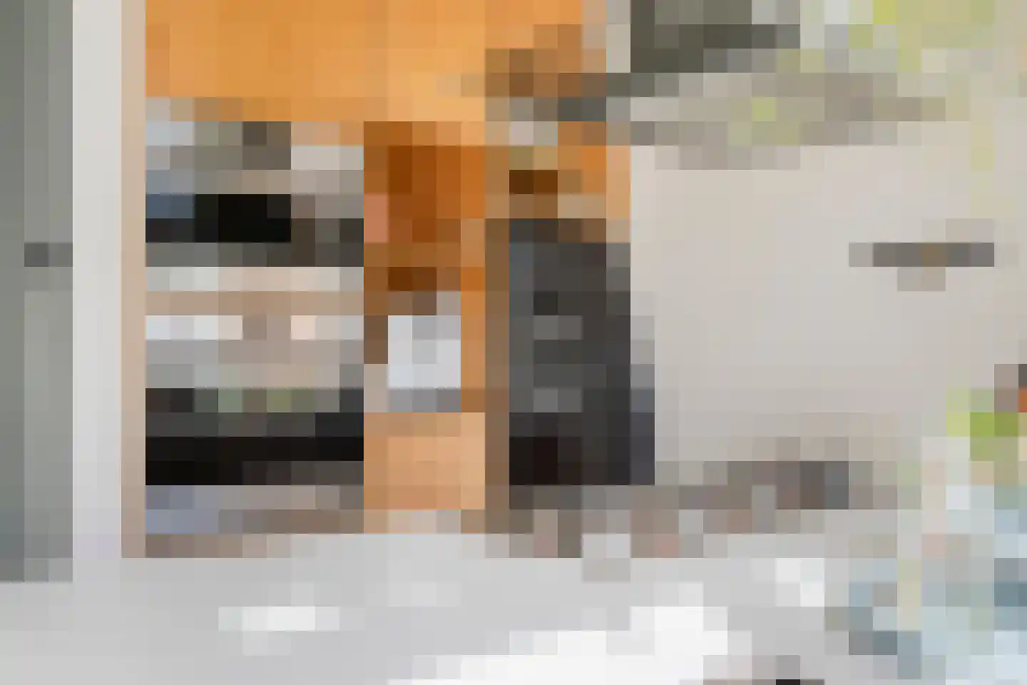 Rembrandtkade 59 Rijswijk thumbnail 15