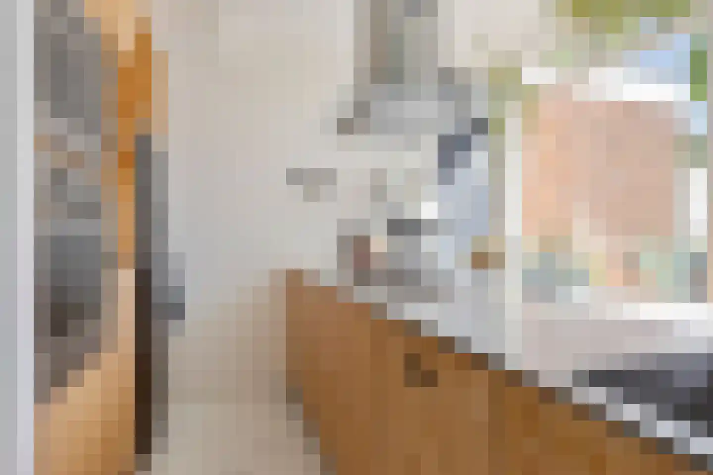 Rembrandtkade 59 Rijswijk thumbnail 17