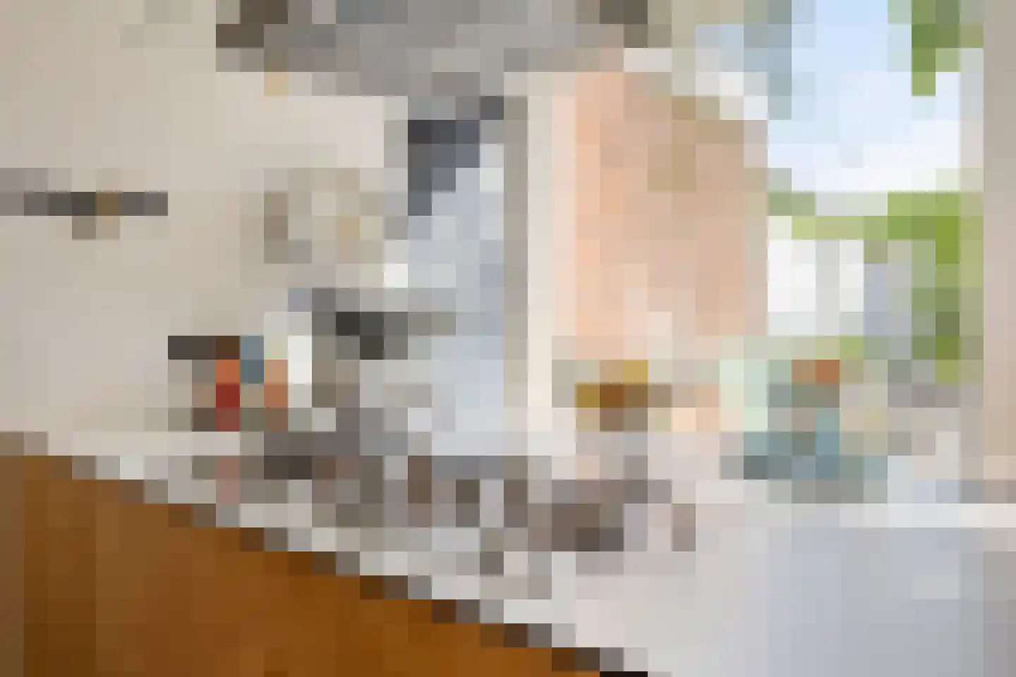 Rembrandtkade 59 Rijswijk thumbnail 18