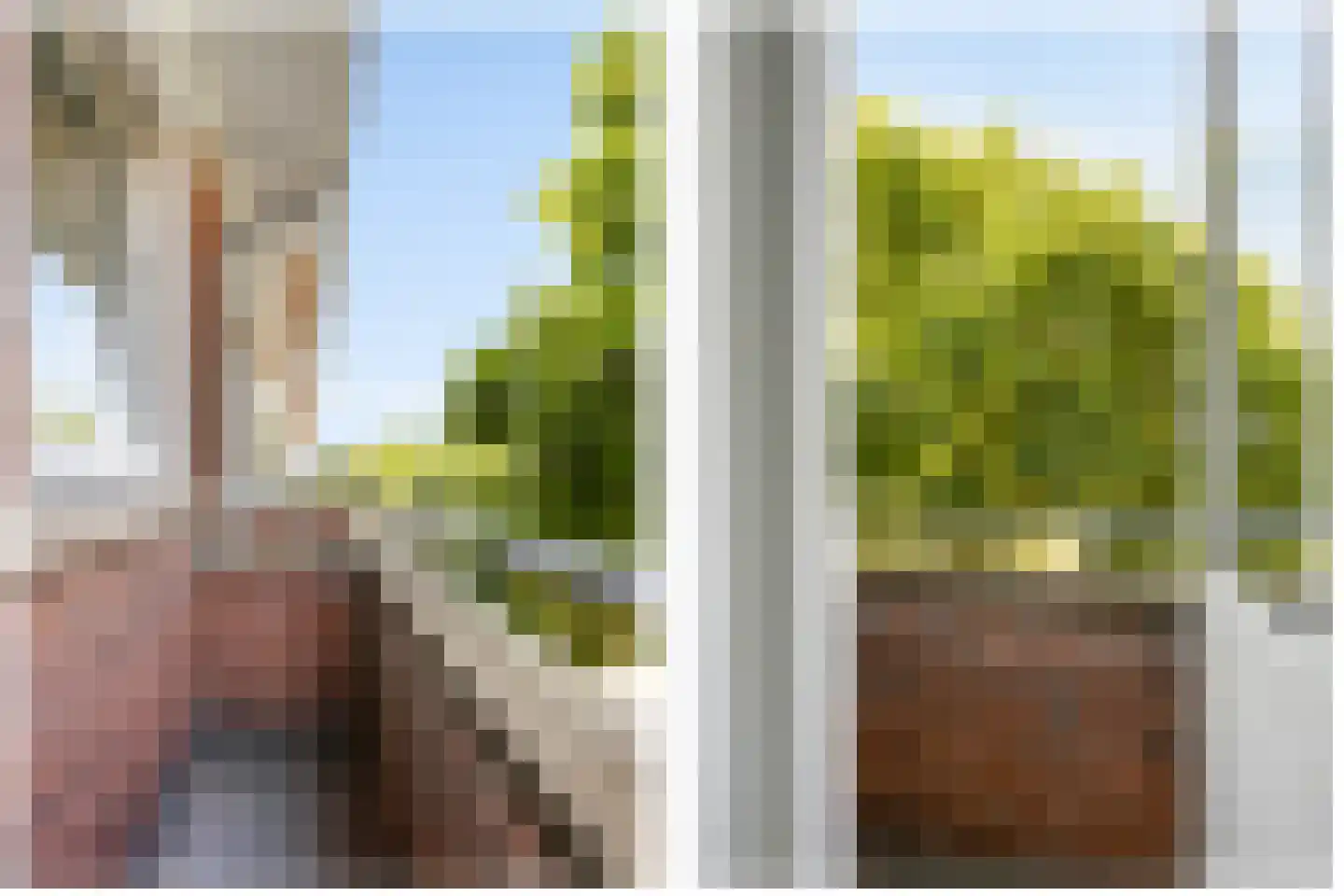 Rembrandtkade 59 Rijswijk thumbnail 29