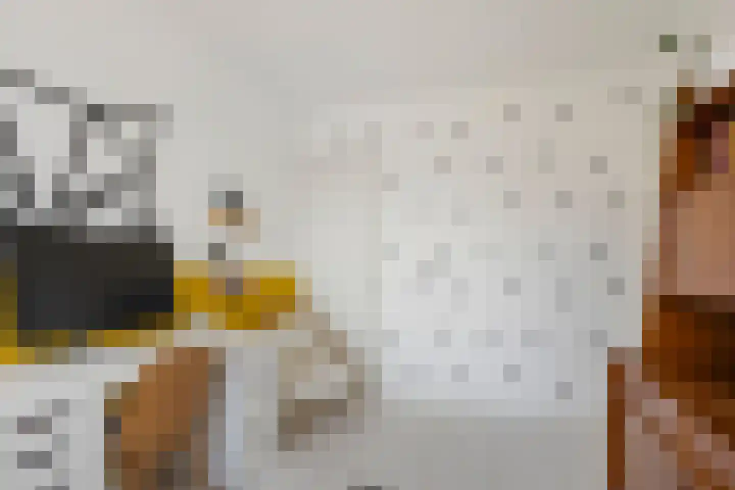 Rembrandtkade 59 Rijswijk thumbnail 31