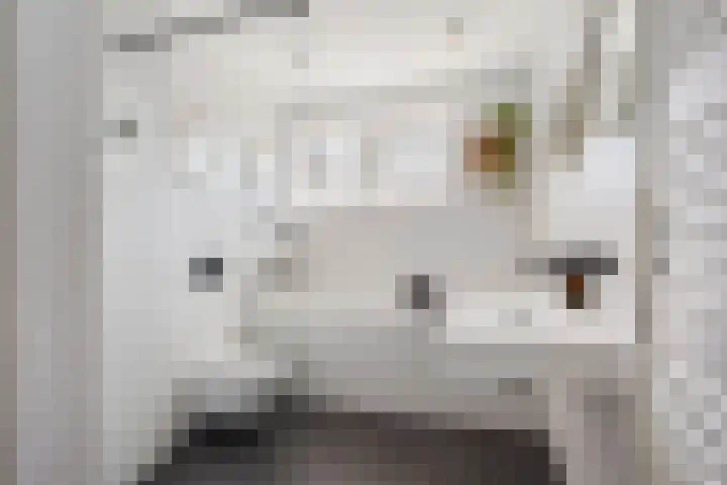 Rembrandtkade 59 Rijswijk thumbnail 33