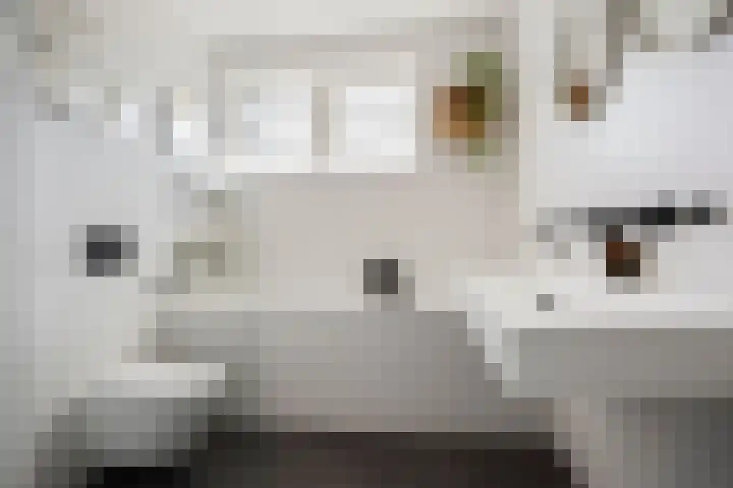 Rembrandtkade 59 Rijswijk thumbnail 34